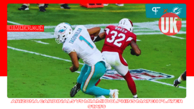 arizona cardinals vs miami dolphins match player stats
