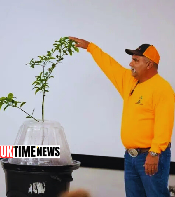 tree t-pee net worth