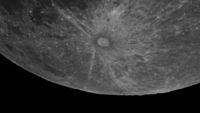moon 10 com