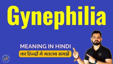 gynephilia meaning