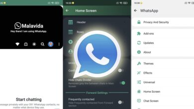 whatsapp plus